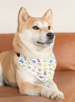 4458668363889262450_2048.jpeg