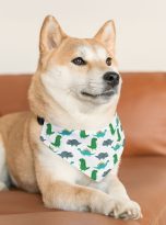 4473549822530533424_2048.jpeg
