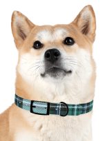 4565847359656501256_4096.jpeg