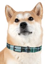 5124085887012200582_4096.jpeg