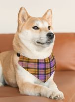 529092047722846598_2048.jpeg