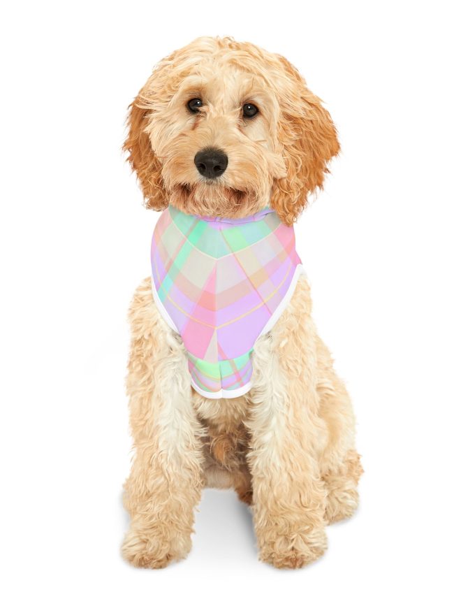 Pet Hoodie