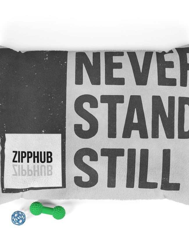 Stylish Pet Bed with Motivational Quote | Cozy Dog Cat Pillow | Perfect Gift for Pet Lovers | Modern Home Décor, Pet Accessory, Animal [...]