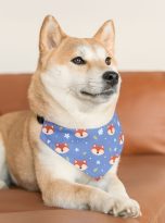 6227213495378294208_2048.jpeg