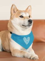 6264607853037217893_2048.jpeg