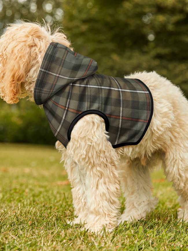 Cozy Plaid Pet Hoodie for Stylish Dogs and Cats