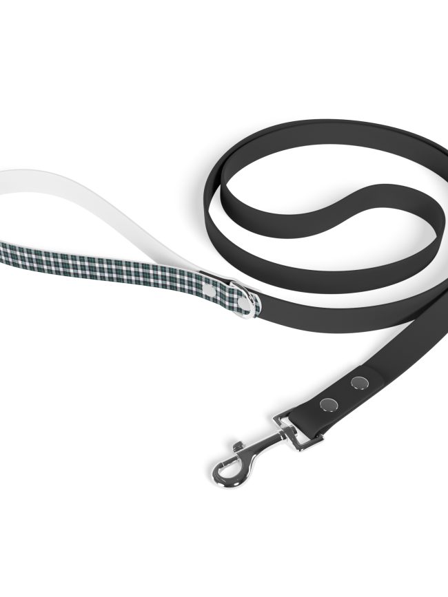 Leash