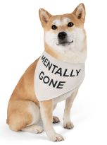 7088848009170333380_2048.jpeg