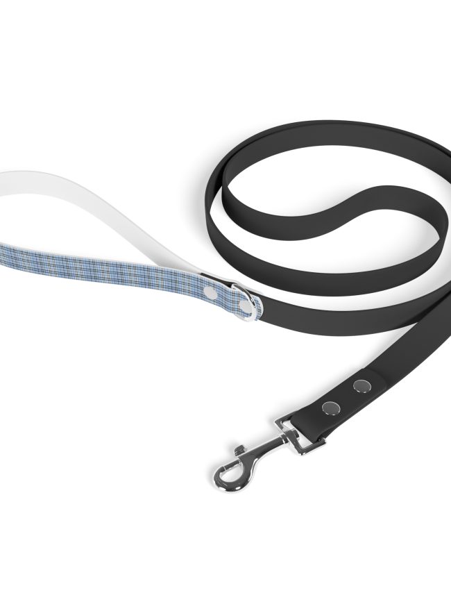 Leash