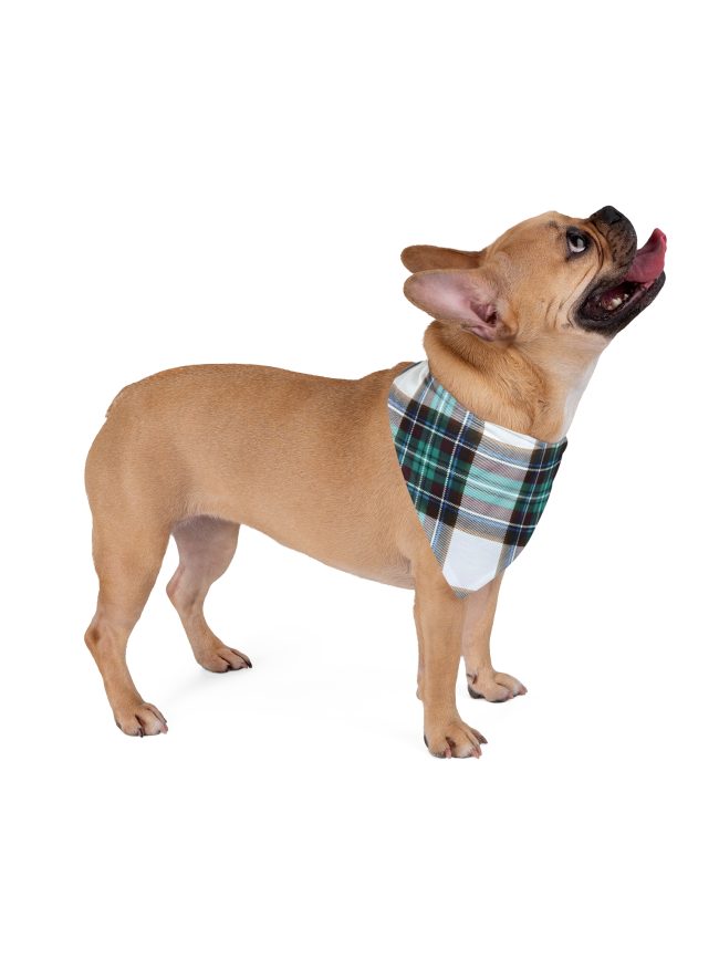 Stylish Plaid Pet Bandana – Perfect for Dogs & Cats, Ideal for Special Occasions