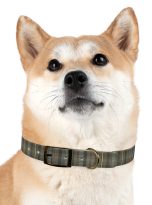 8384716943183096029_4096.jpeg