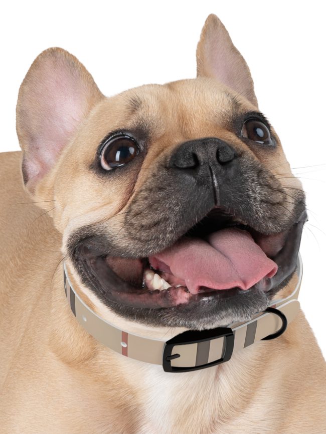 Stylish Striped Dog Collar - Modern Design for Fashionable Pets