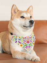 888433732872834168_2048.jpeg
