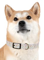 12669079146740462738_4096-1.jpeg