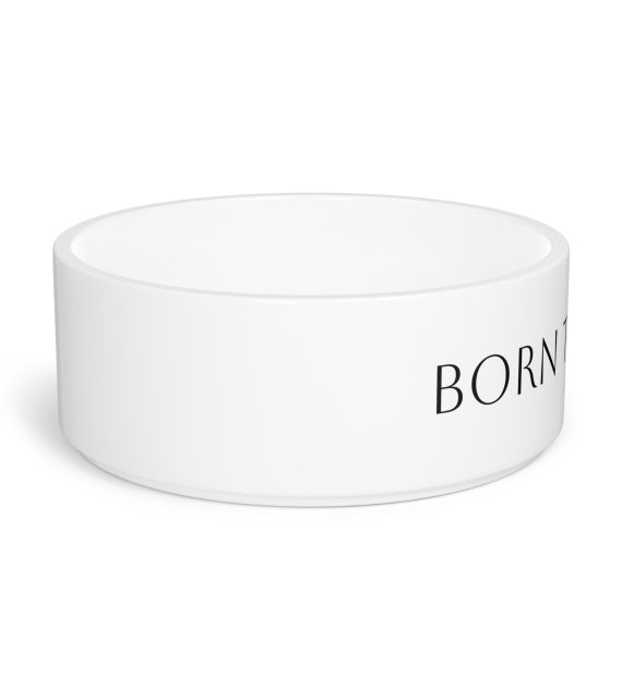 Pet Bowl For Dogs And Cats - Image 2