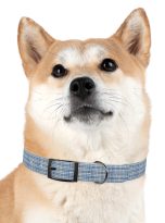 15282071702683453213_4096-1.jpeg