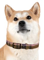 15623790441177562202_4096-1.jpeg