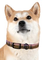 16801504536574755496_4096-1.jpeg