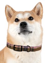5204527847501543240_4096-1.jpeg
