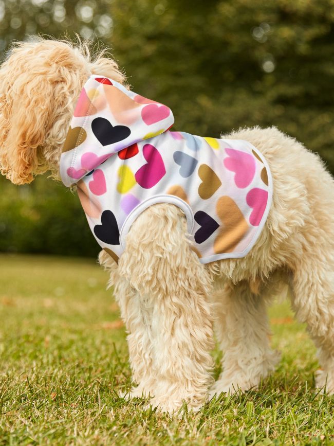 Colorful Hearts Pattern Pet Hoodie