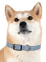 6422142755348384025_4096-1.jpeg