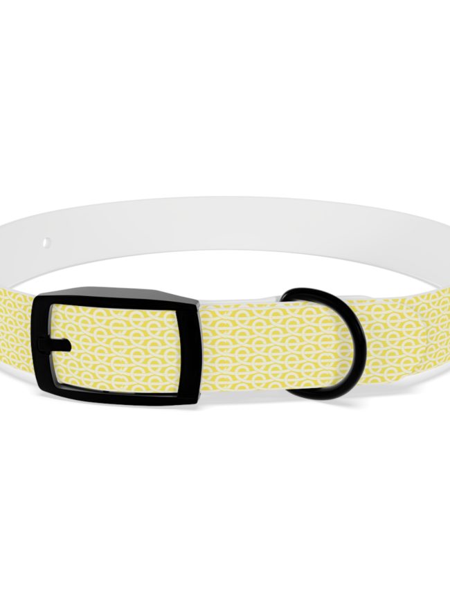 Stylish Dog Collar Gift for Dog Lovers